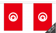 Tunisia Buntings